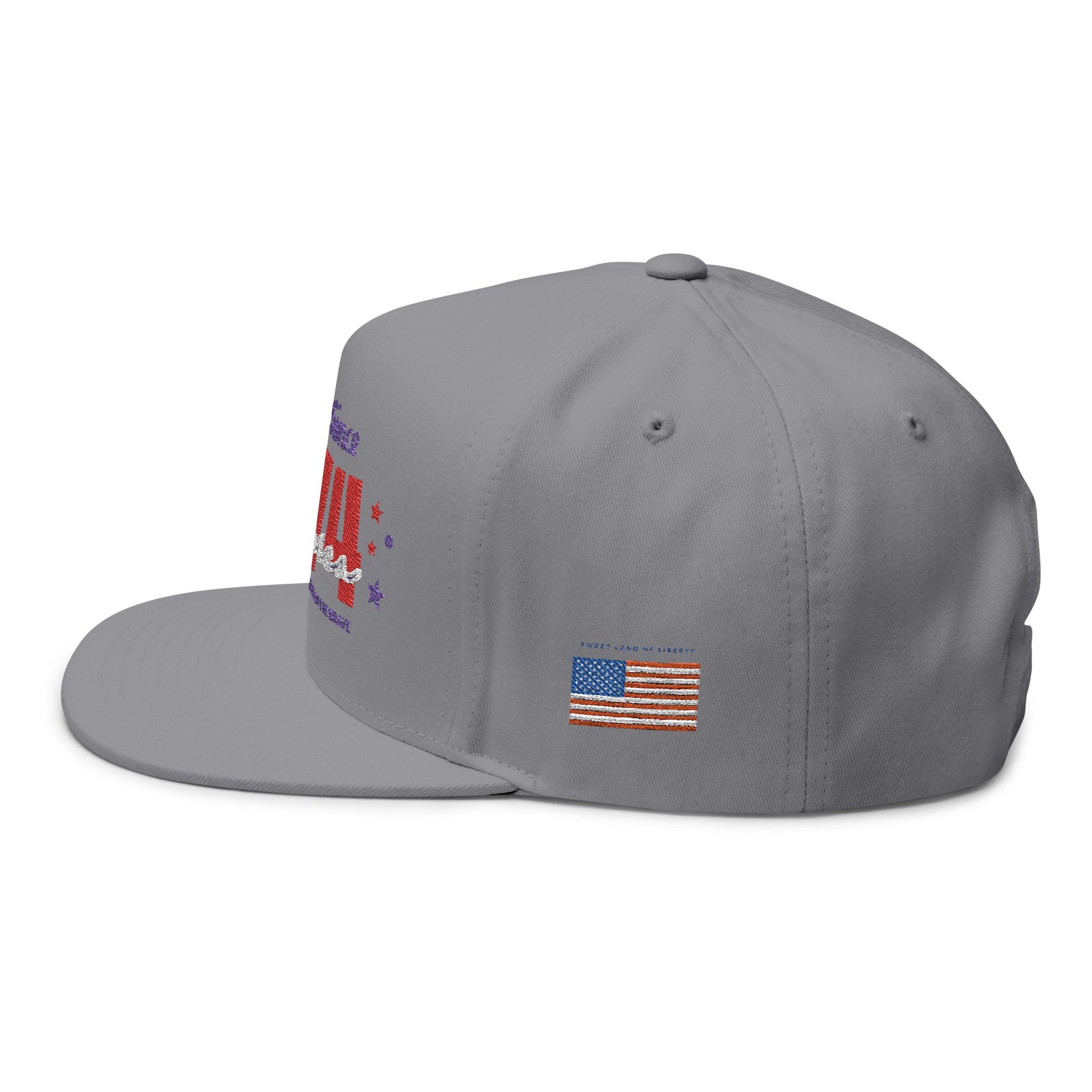 Patriotic Embroidered Flat Bill Cap, USA Hat, Independence Day Gift, Cool Summer Accessory