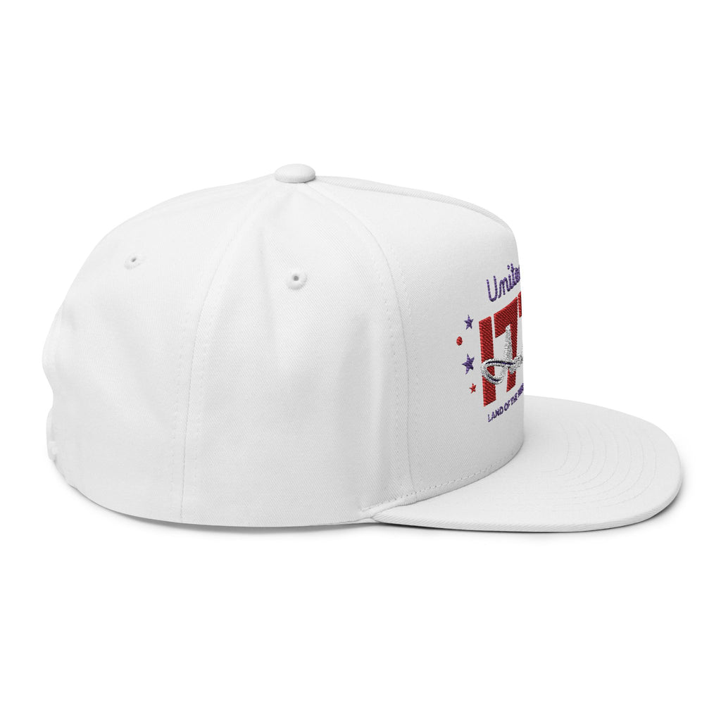 Patriotic Embroidered Flat Bill Cap, USA Hat, Independence Day Gift, Cool Summer Accessory
