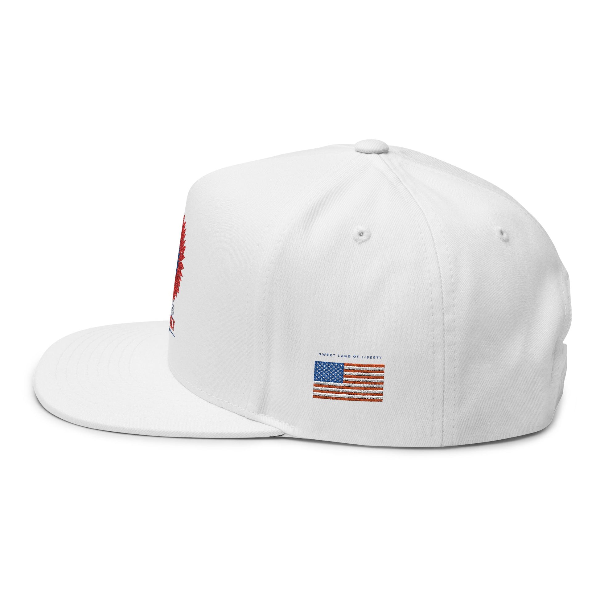 Patriotic Embroidered Flat Bill Cap | 4th of July | USA Flag Hat | Summer Outdoor Cap | Unisex Style | Trendy Headwear