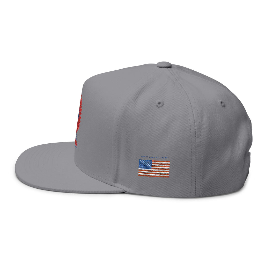 Patriotic Embroidered Flat Bill Cap | 4th of July | USA Flag Hat | Summer Outdoor Cap | Unisex Style | Trendy Headwear