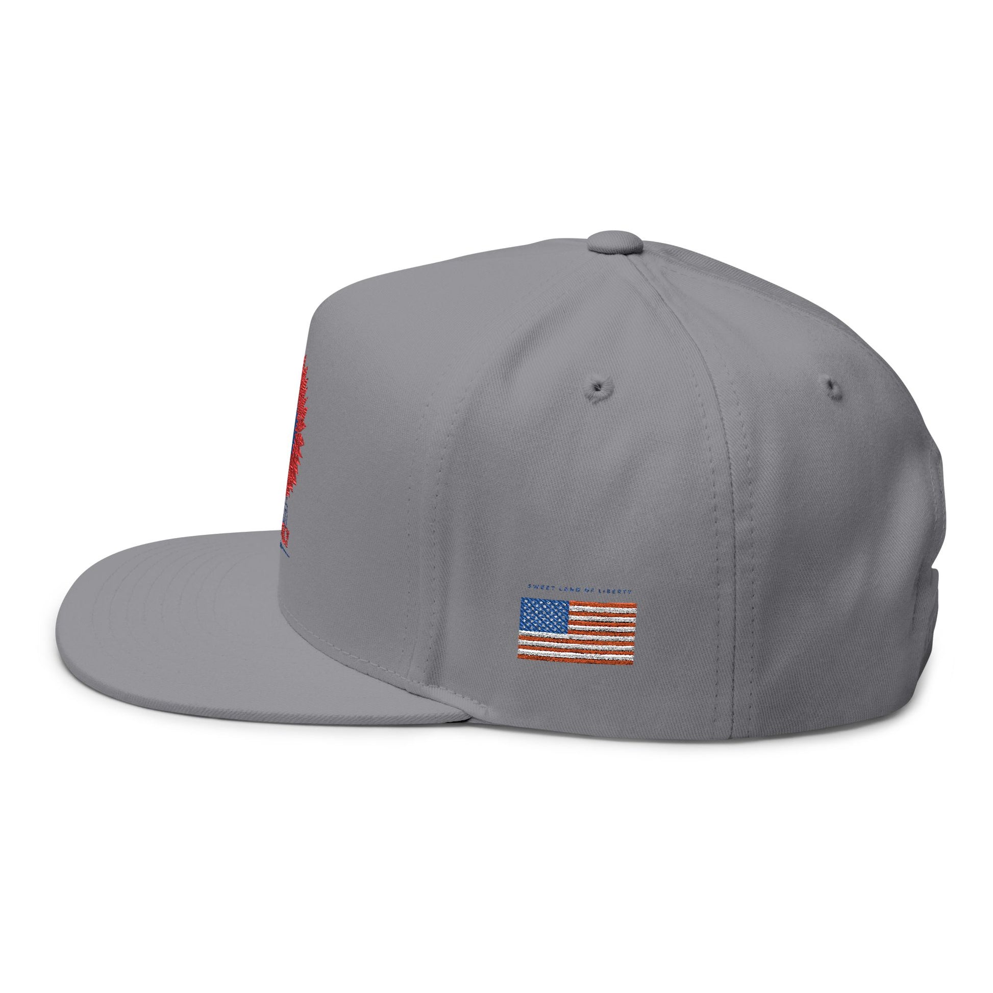 Patriotic Embroidered Flat Bill Cap | 4th of July | USA Flag Hat | Summer Outdoor Cap | Unisex Style | Trendy Headwear