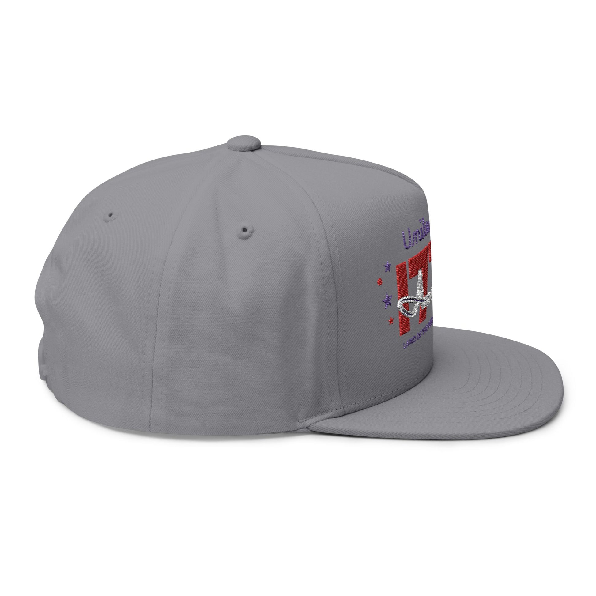 Patriotic Embroidered Flat Bill Cap, USA Hat, Independence Day Gift, Cool Summer Accessory
