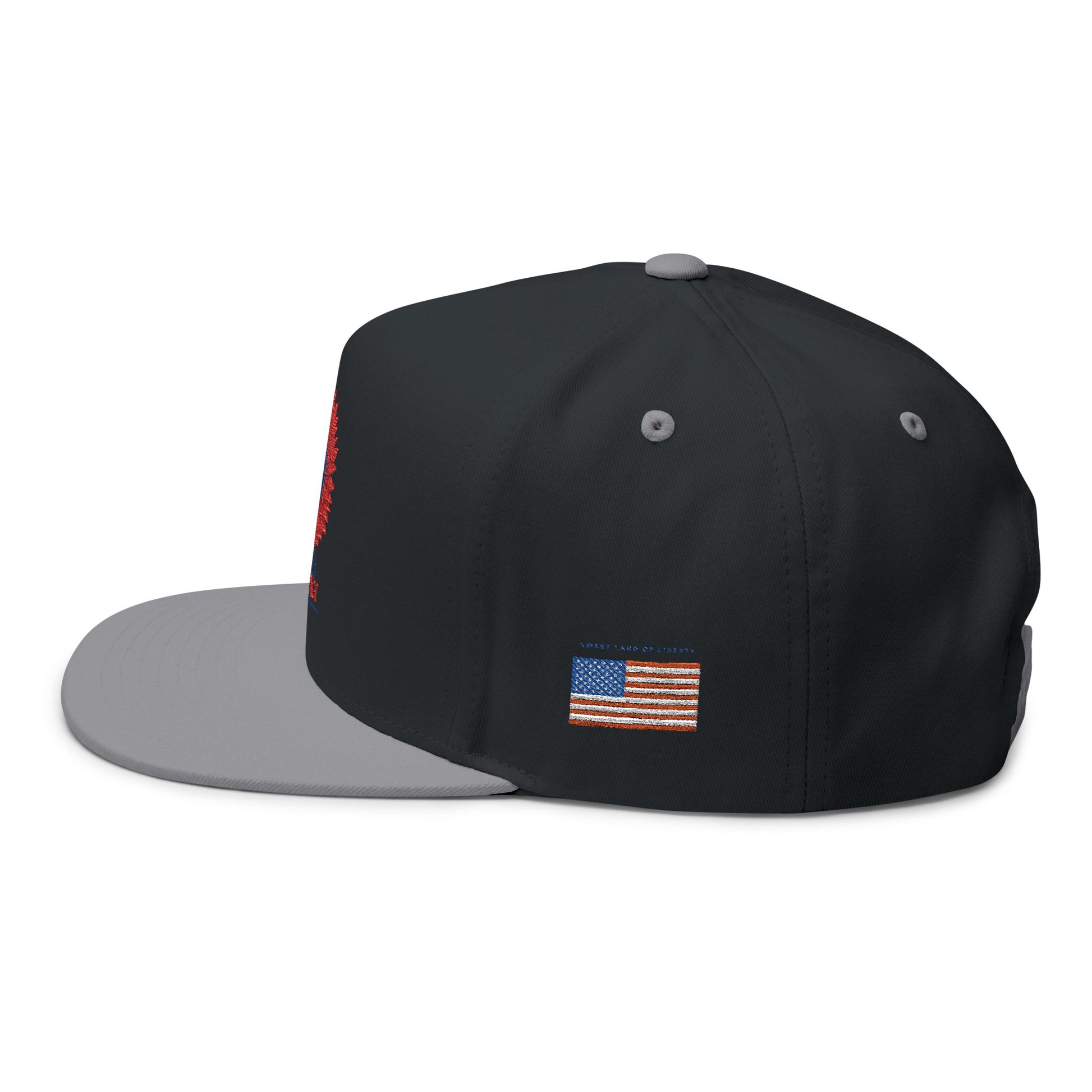 Patriotic Embroidered Flat Bill Cap | 4th of July | USA Flag Hat | Summer Outdoor Cap | Unisex Style | Trendy Headwear
